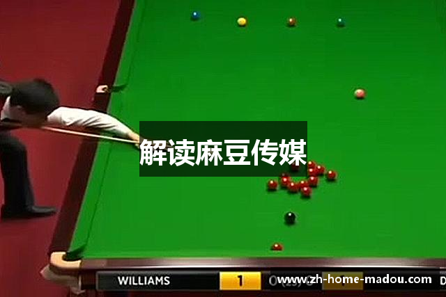 解读麻豆传媒